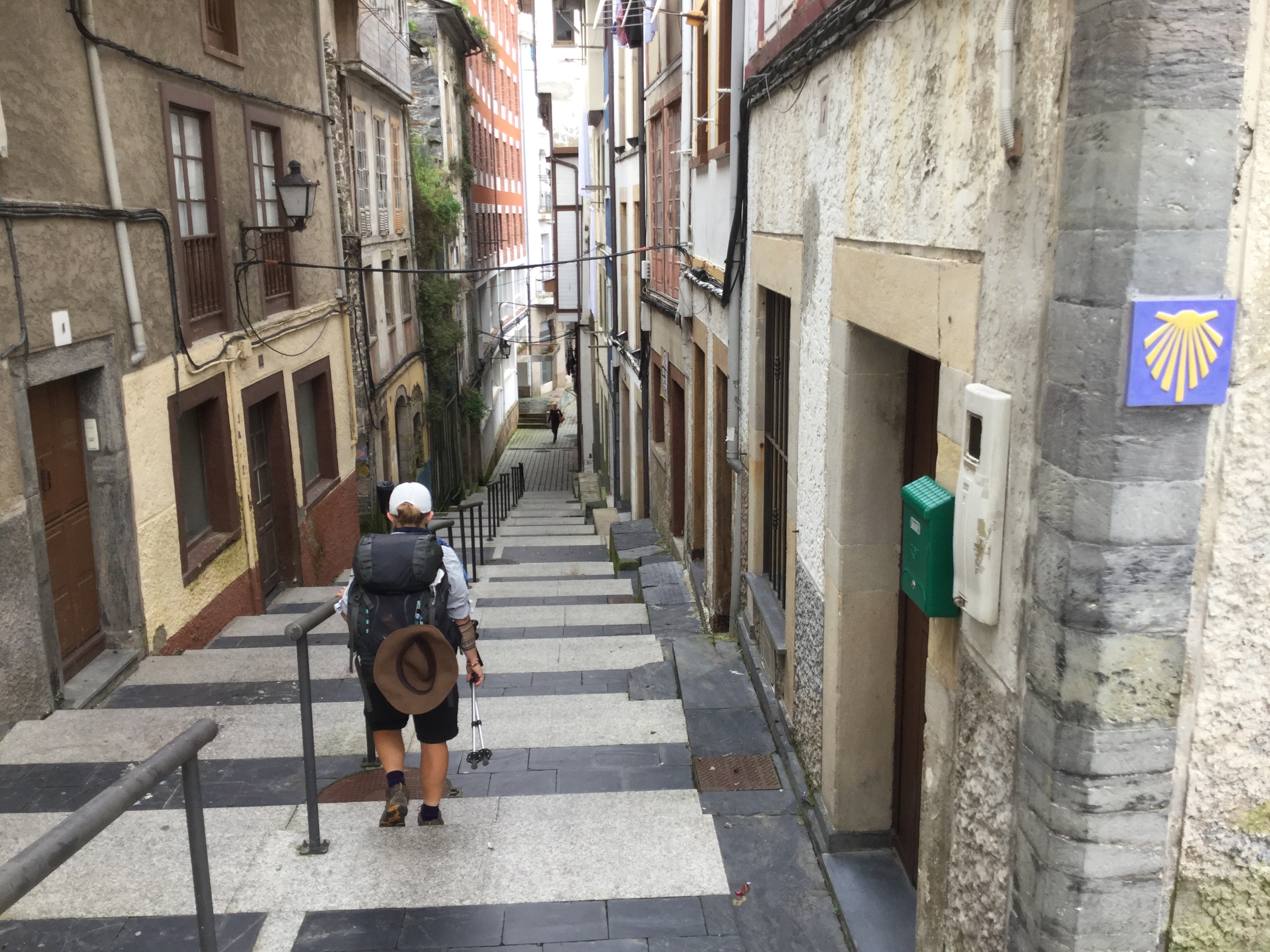 On the Camino trail